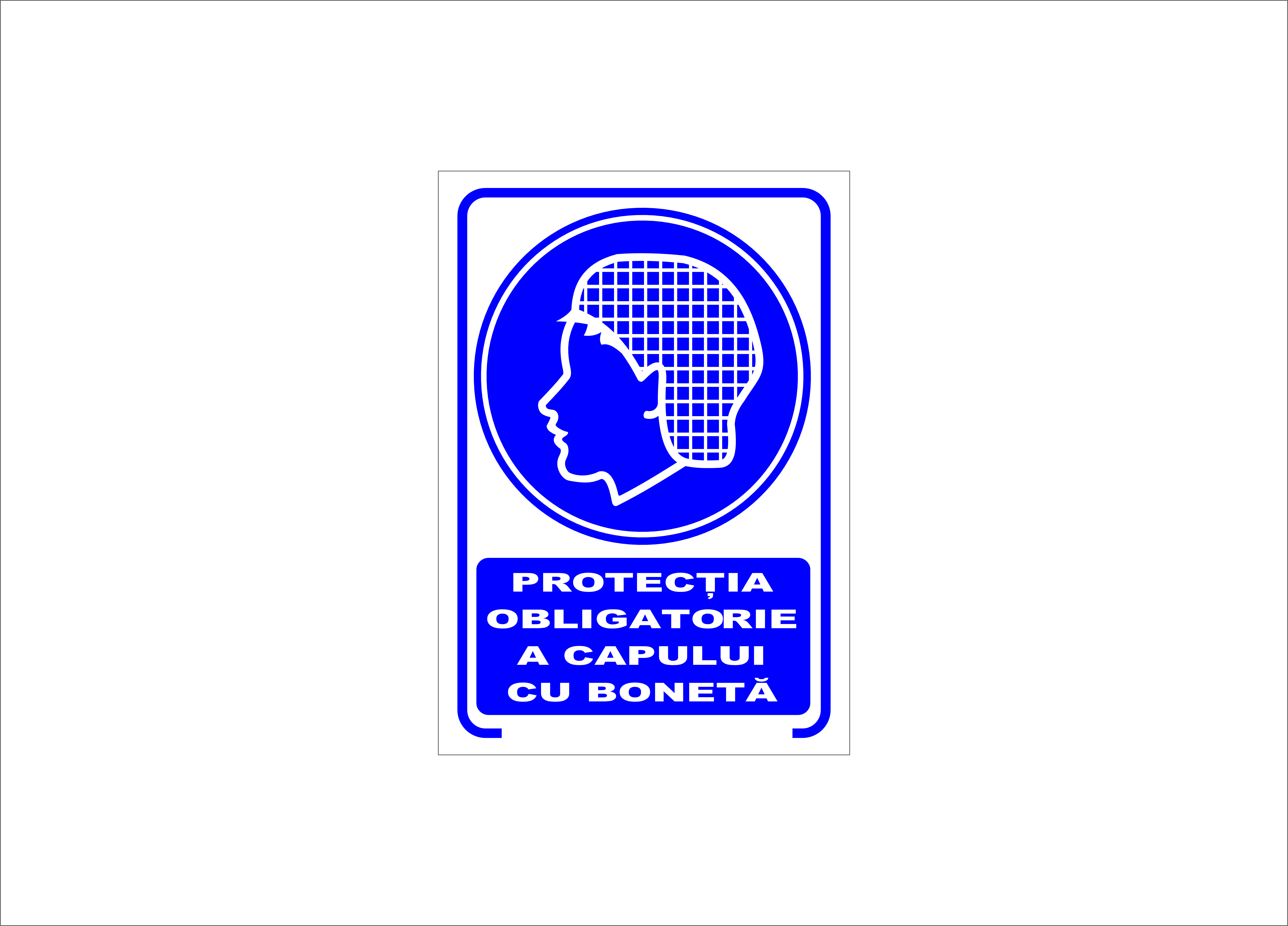 PROTECTIA CAPULUI CU BONETA OBLIGATORIE