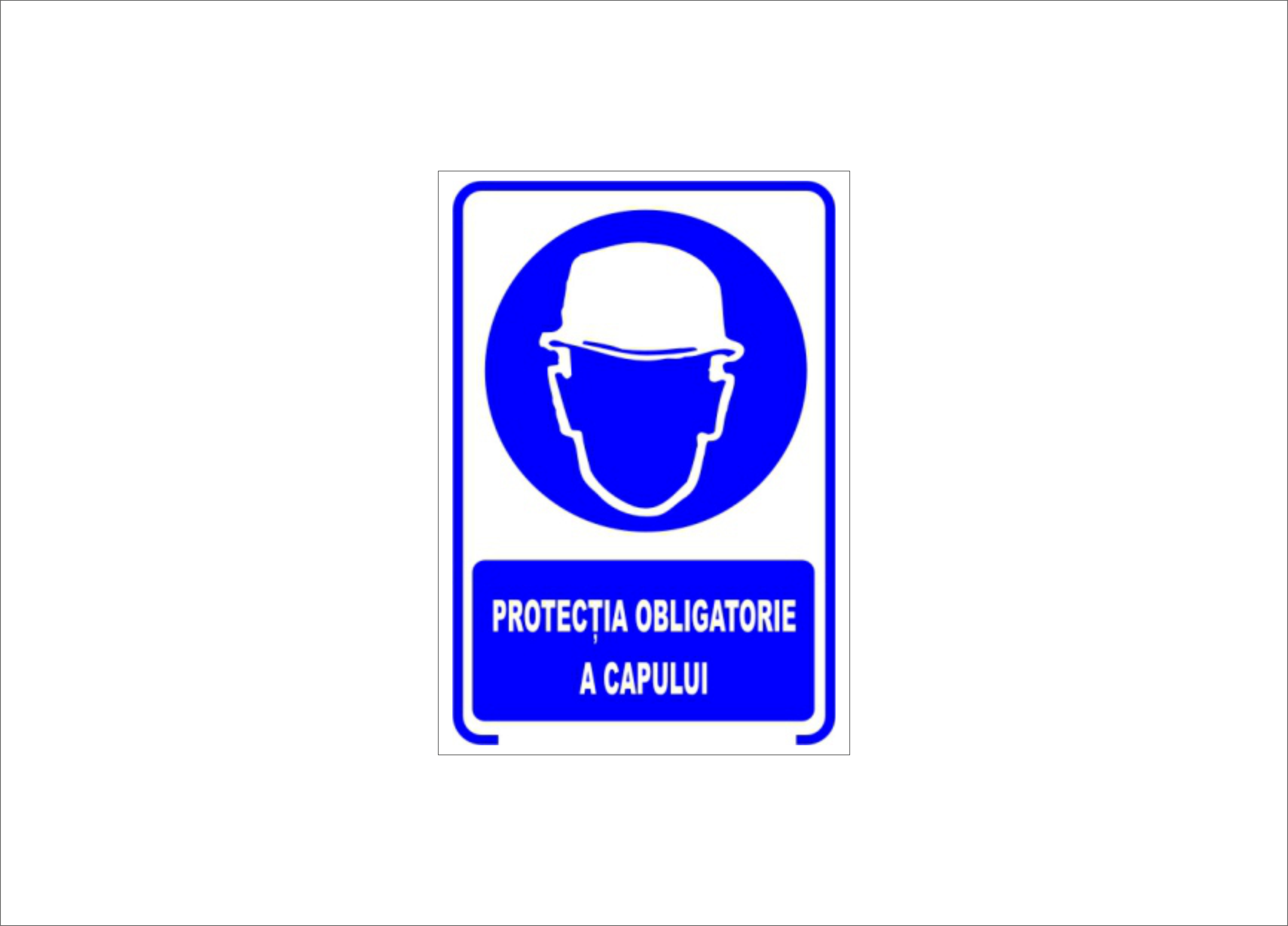 PROTECTIA OBLIGATORIE A CAPULUI